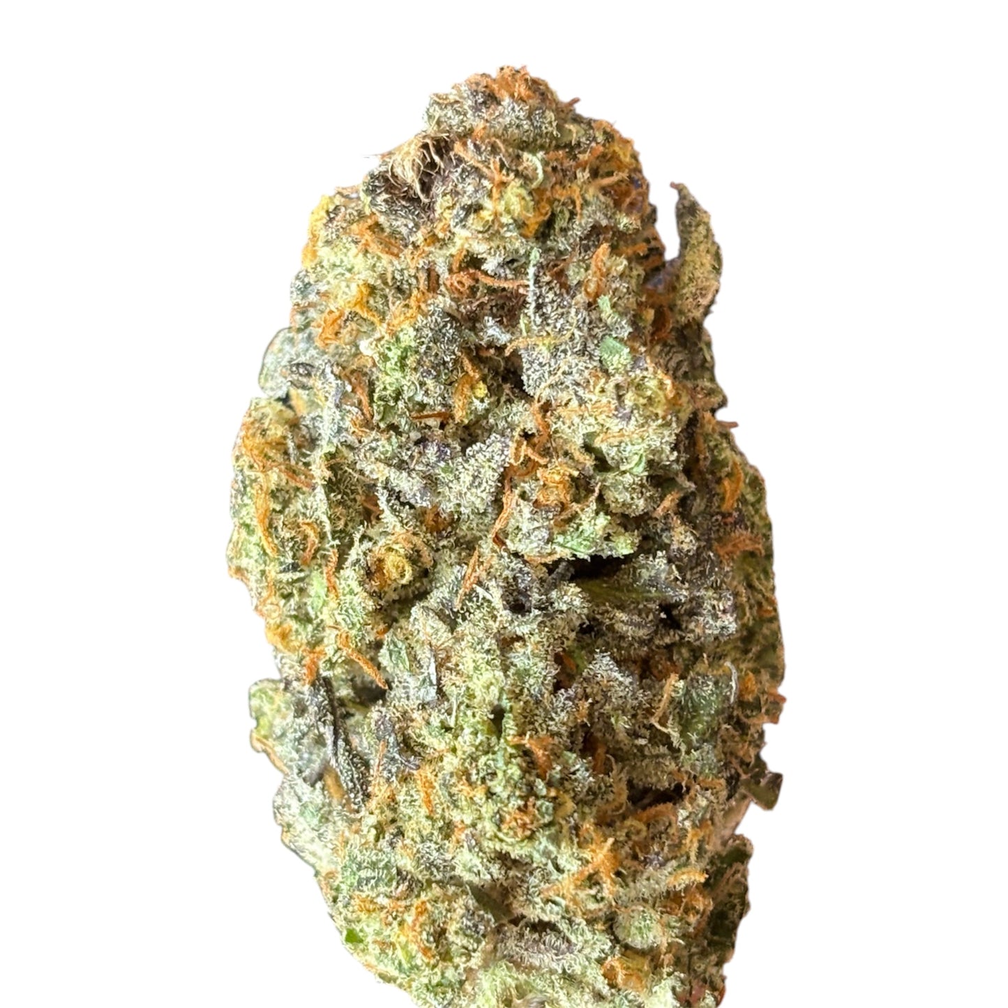 BLACK BERSERKER ⛽️