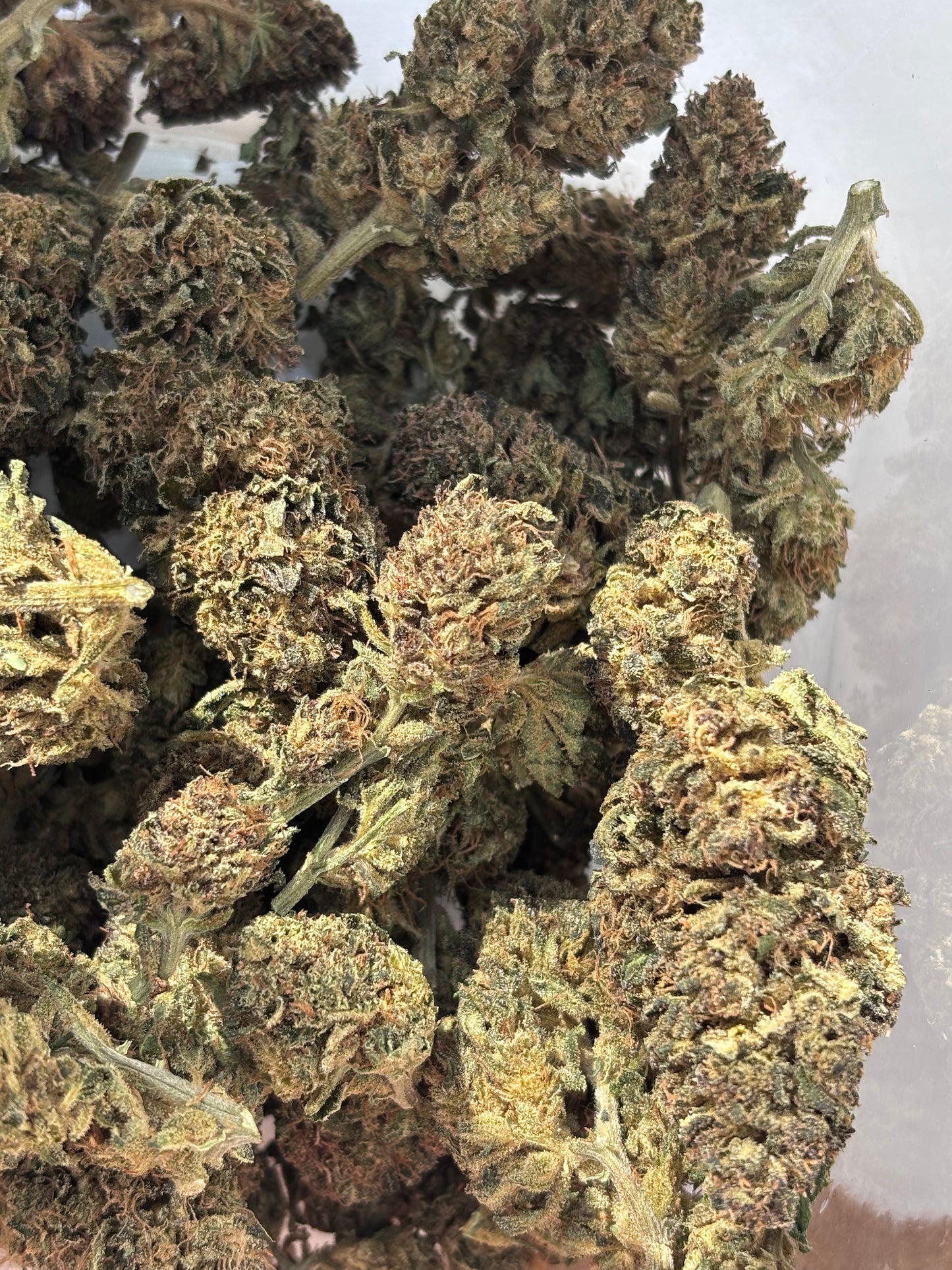 GRAVY TRAIN - GreenHouse by Terpz en Herbe 🇫🇷
