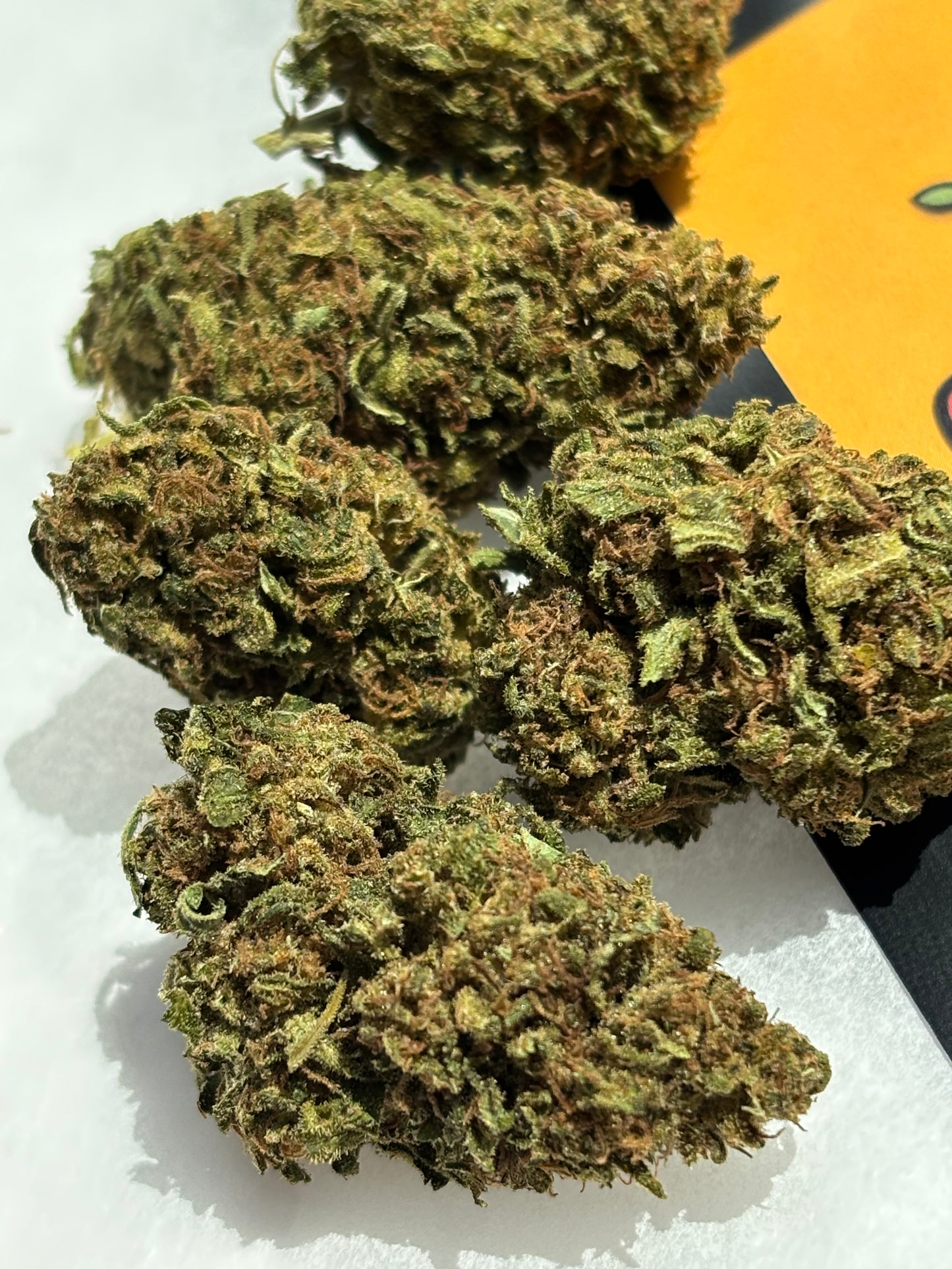 Zombie Kush 🧟♂️