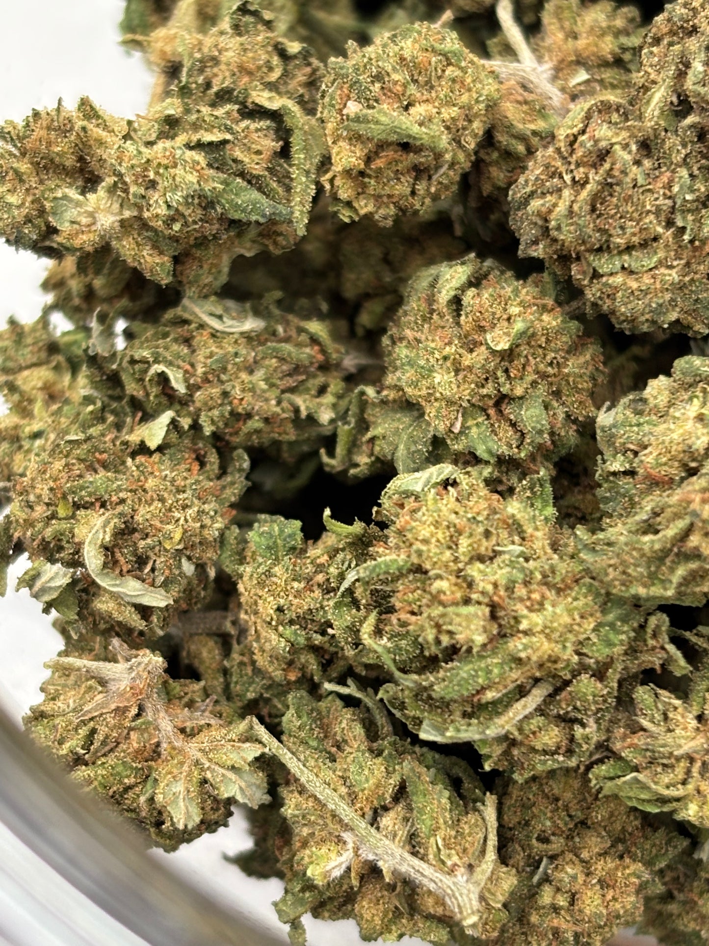 BlueBerry Bio Small🫐🇫🇷