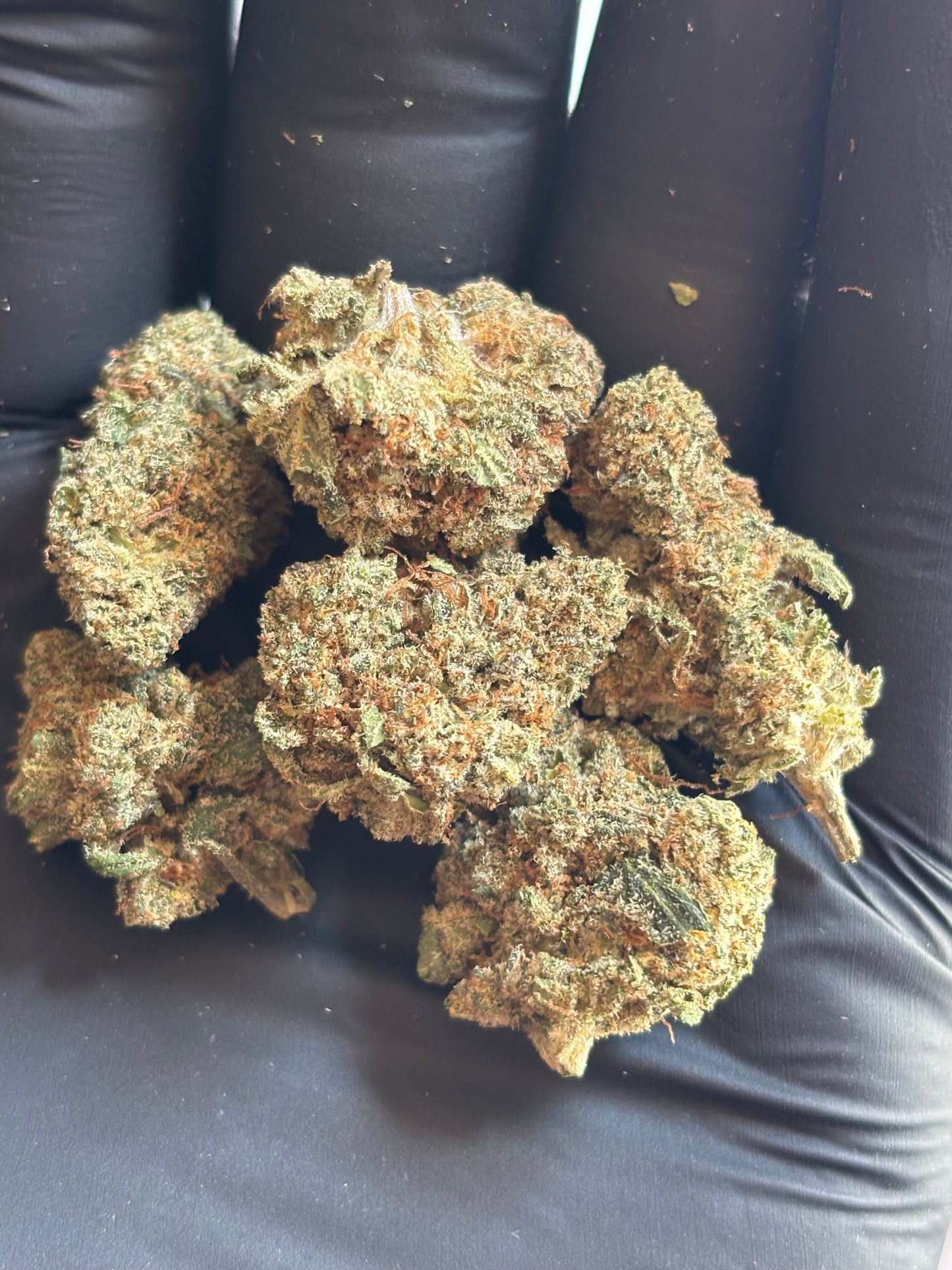 Critical 2.0🇨🇭- Indoor