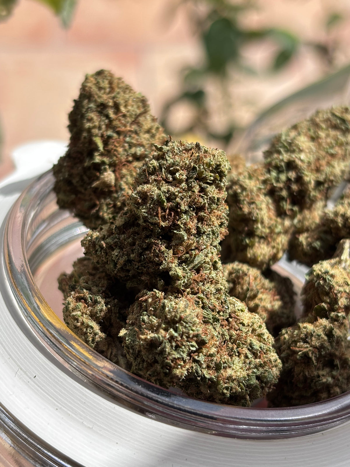 SUPER SILVER HAZE 💎