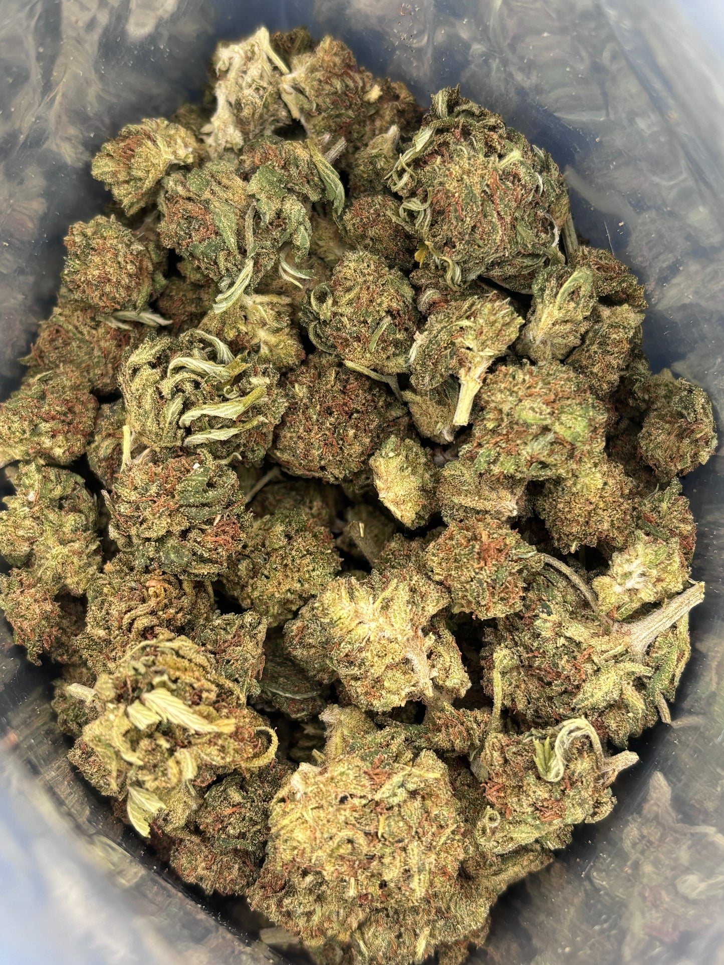 COSMIC COOKIE 🍪 - Small Buds