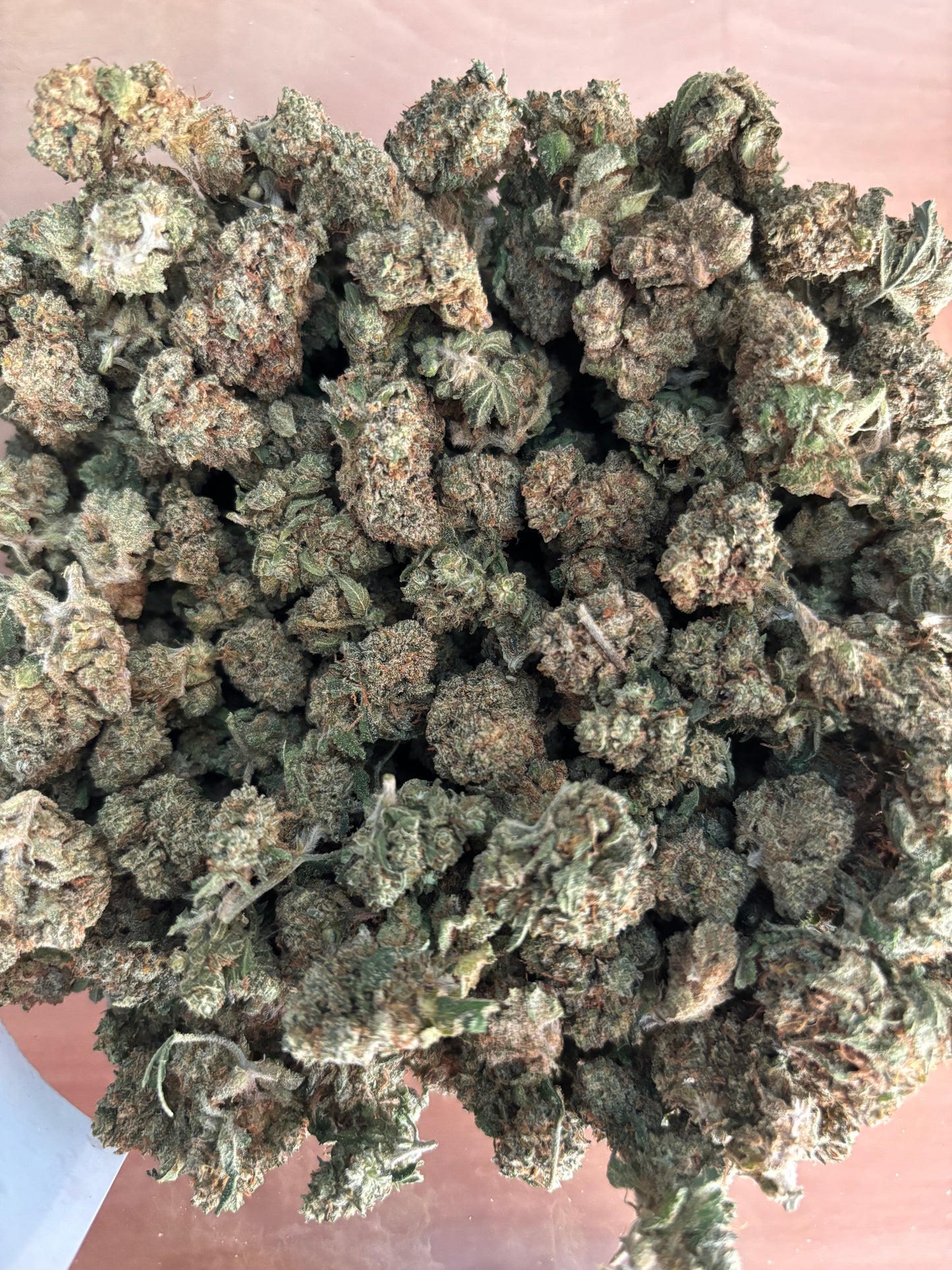 Critical 2.0🇨🇭- Indoor