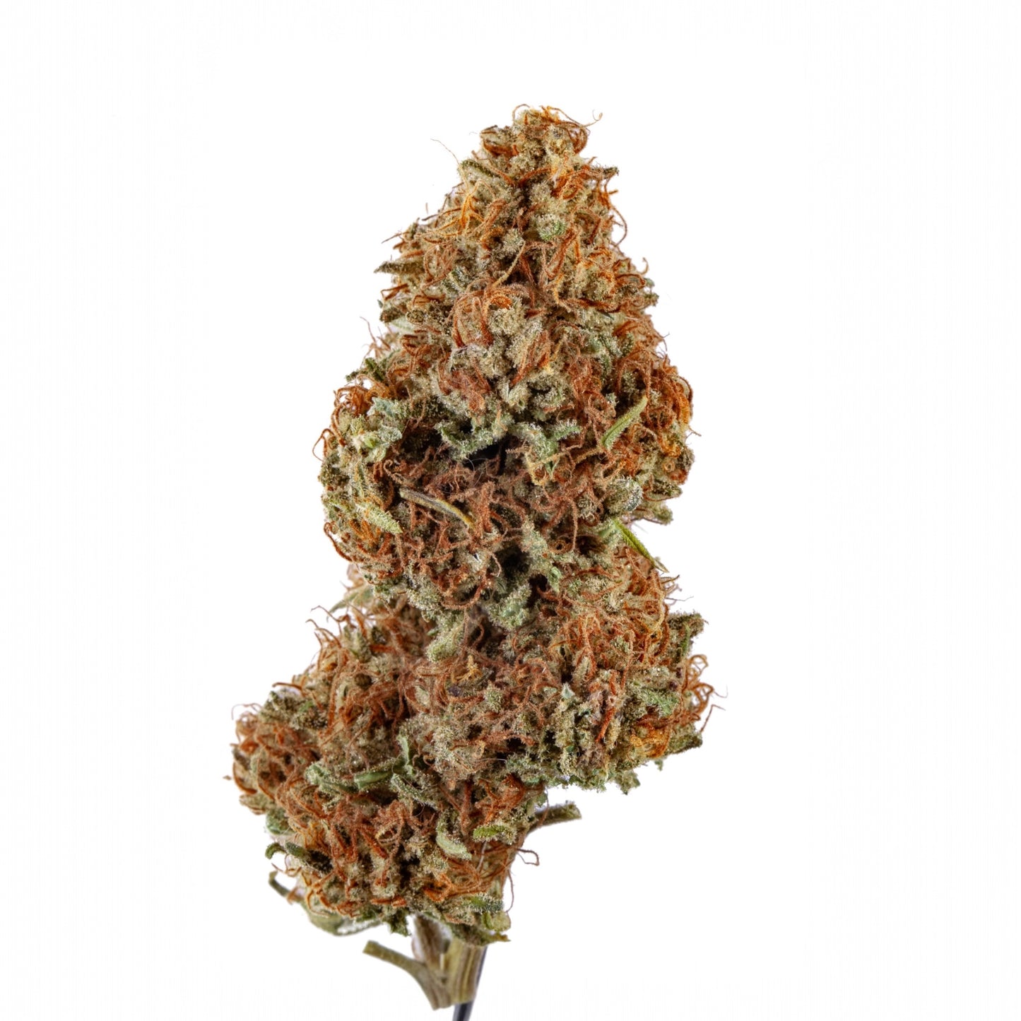 Sour Meringue 🧁