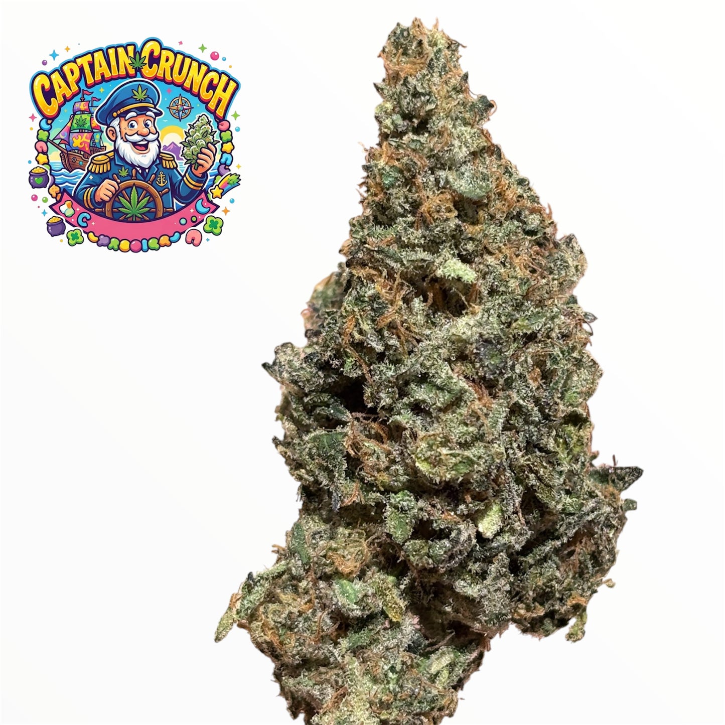 PACK DÉCOUVERTE - ORIGINAL GROWING - INDOOR PREMIUM 🏆🇫🇷