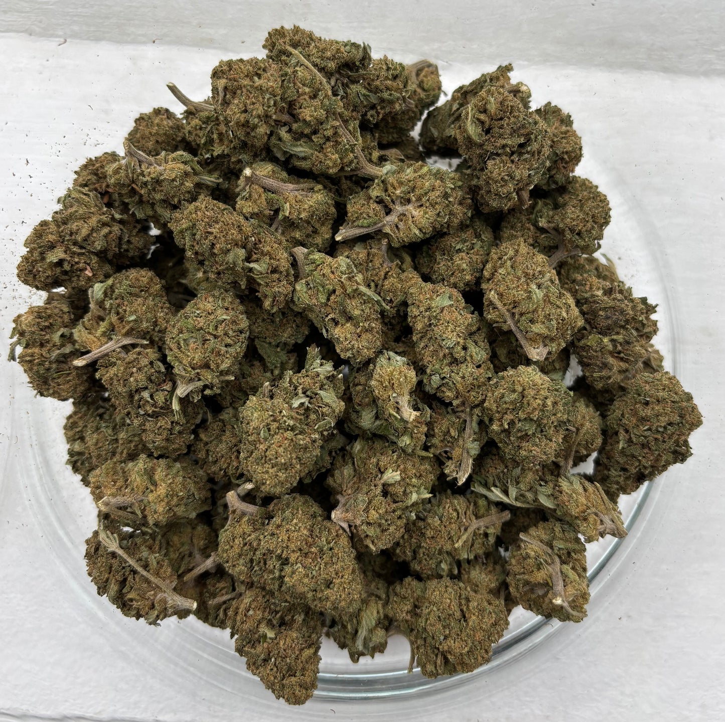 Gorilla Glue 🦍🇫🇷