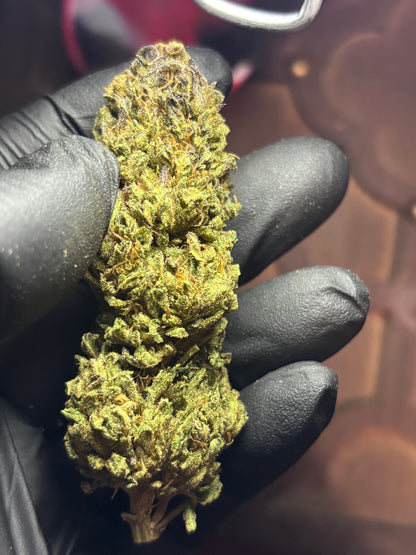 GOAT BUTTER ⛽️🇫🇷