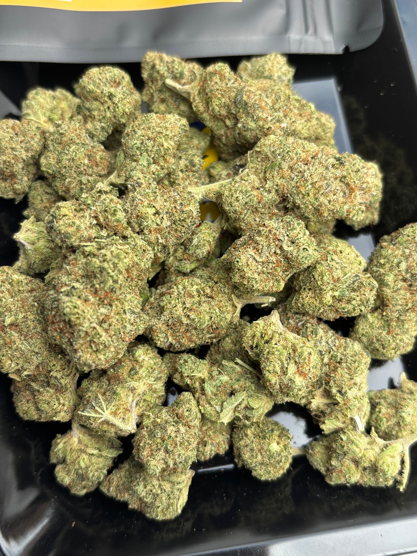 BUBBLEGUM 🍭
