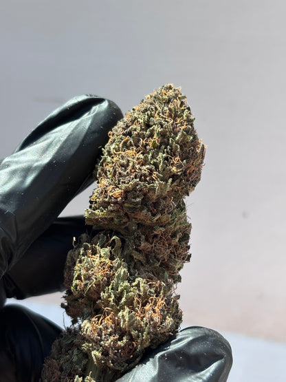 GRAVY TRAIN - GreenHouse by Terpz en Herbe 🇫🇷