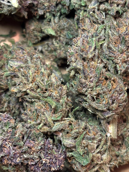 Orange Fritter 🍊🇫🇷