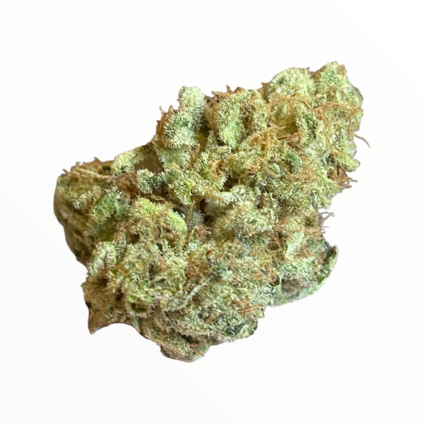 SUPER YAK 2 - Indoor 🇫🇷