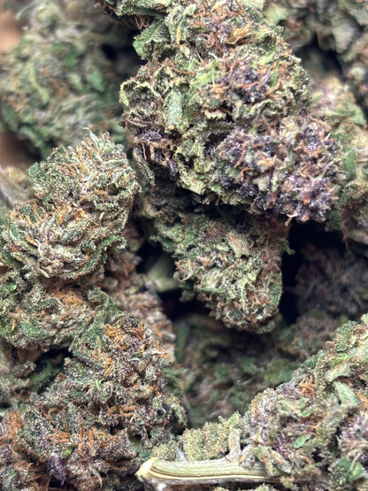 Orange Fritter 🍊🇫🇷