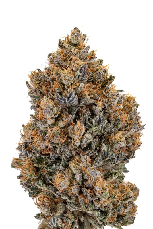 ALLIUM OG 🧅
