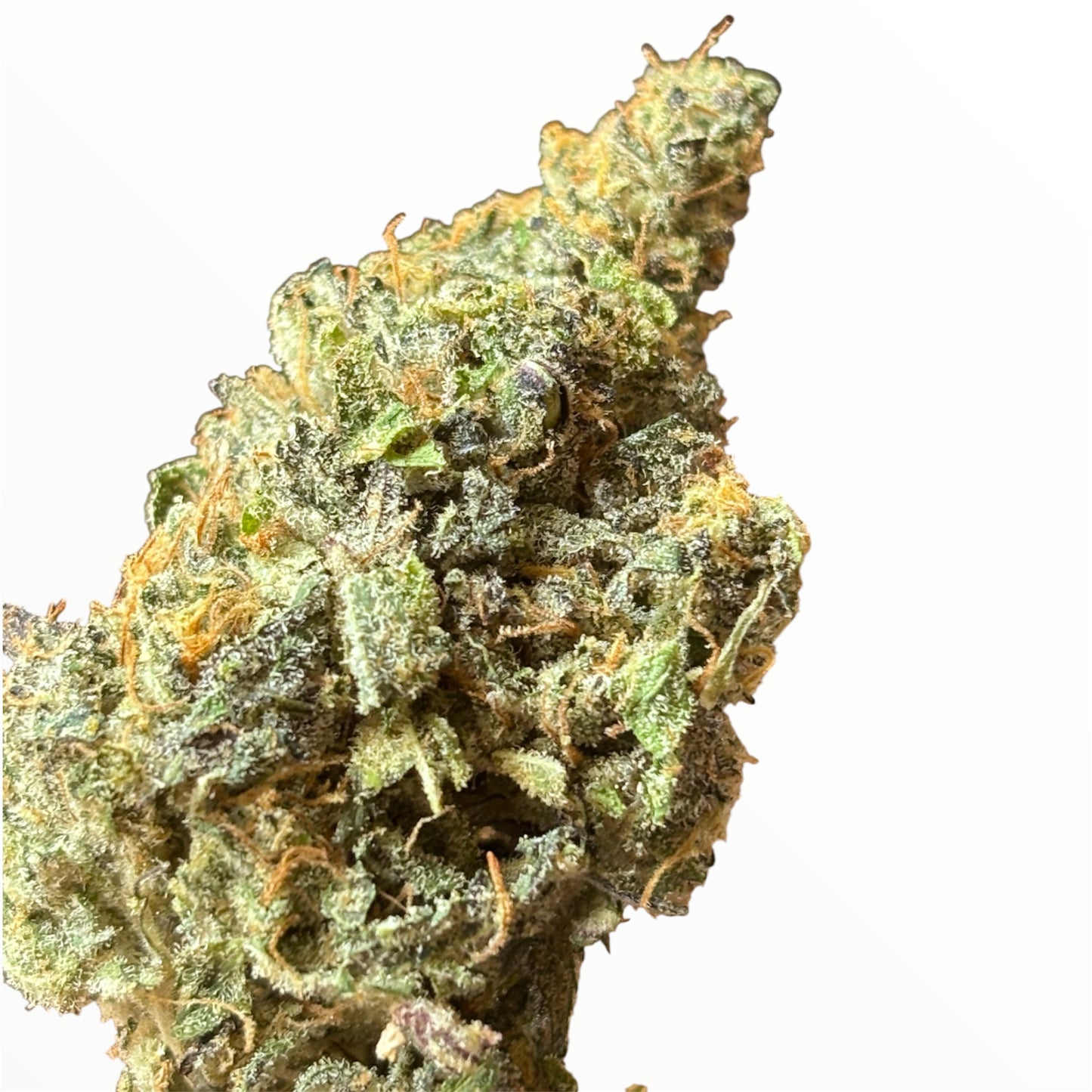 CAPTAIN CRUNCH 🥣 - Indoor 🇫🇷