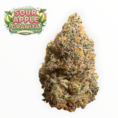 PACK DÉCOUVERTE - ORIGINAL GROWING - INDOOR PREMIUM 🏆🇫🇷