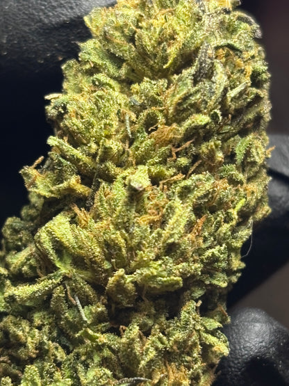 GOAT BUTTER ⛽️🇫🇷