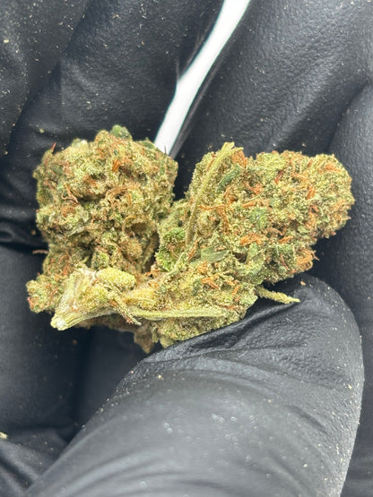 SKYWALKER OG 🪐 - Small Buds