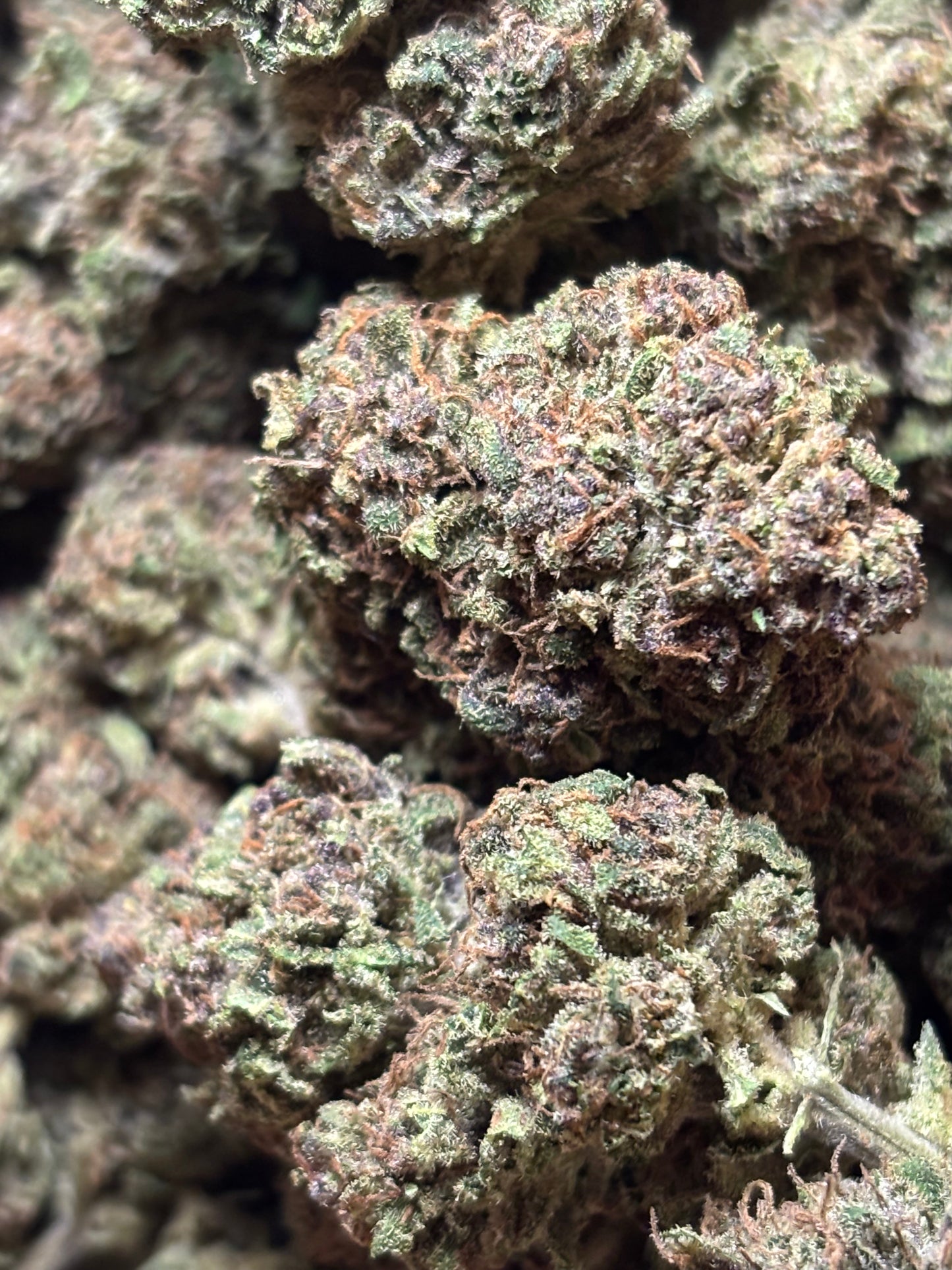 Choco Covered Strawberries 🍫🍓 - Jardins de Julien 👨‍🌾🇫🇷