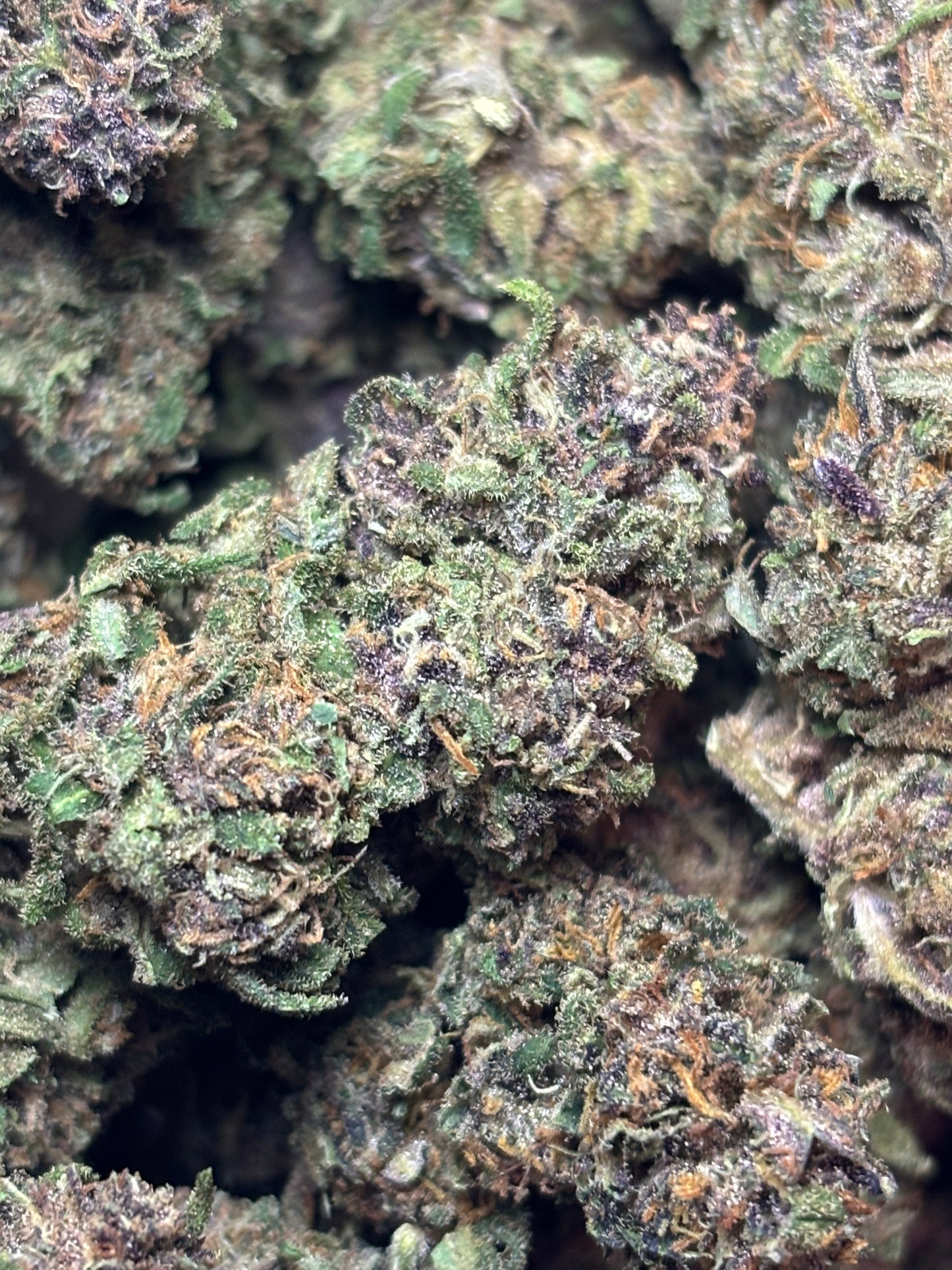 Orange Fritter 🍊🇫🇷