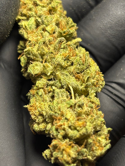 Tropical Fruit Scoop 🥭 - Jardins de Julien 👨‍🌾🇫🇷