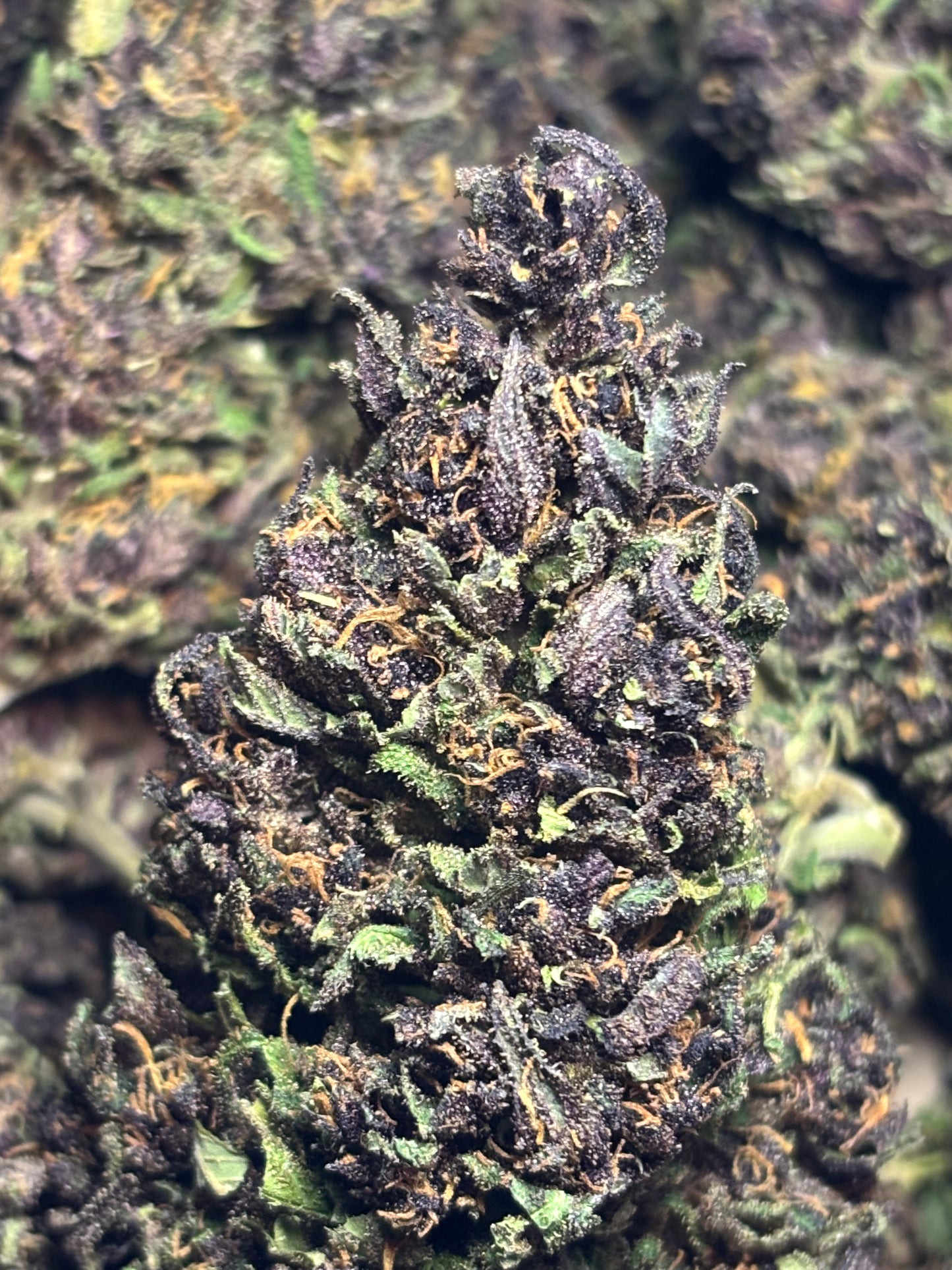 Blue Meringue 🧁🇫🇷