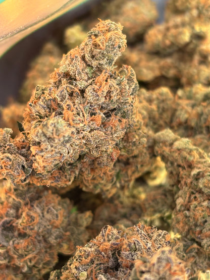 BLACK BERZERKER - Indoor Hydro By Original Growing 🇫🇷
