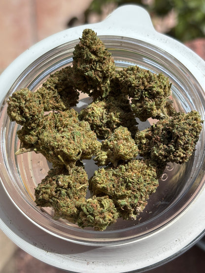 BLUEBERRY DIESEL 🫐 - GreenHouse 🇫🇷 - Medium Bud