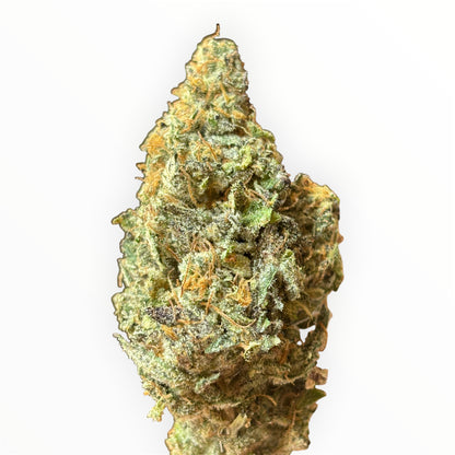 CAPTAIN CRUNCH 🥣 - Indoor 🇫🇷