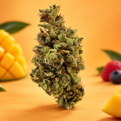 SWEET MANGO 🥭