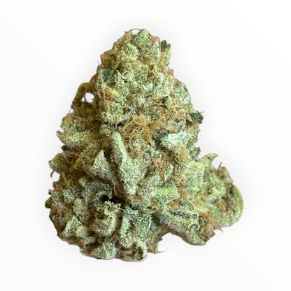 SUPER YAK 2 - Indoor 🇫🇷