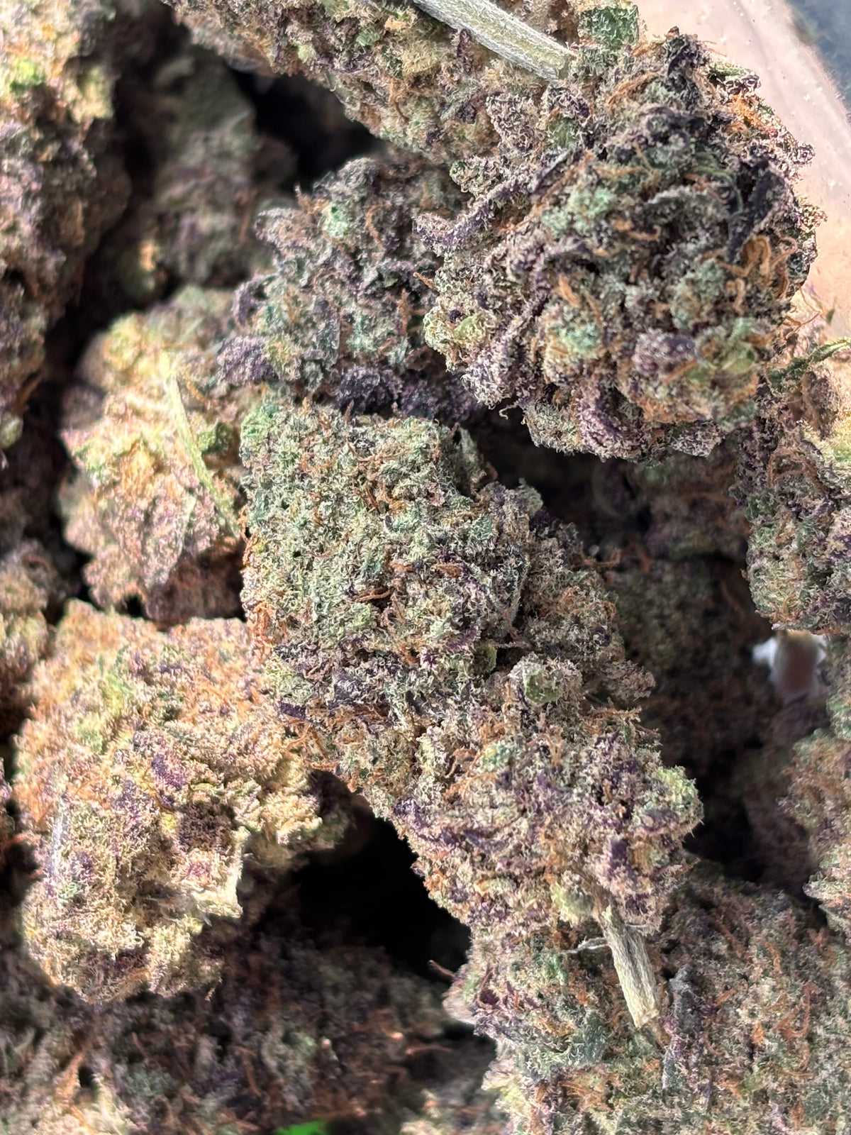 SOUR APPLE GRANITA 🍏🥤 - Indoor Living Soil 🪱 - by Original Growing 🇫🇷