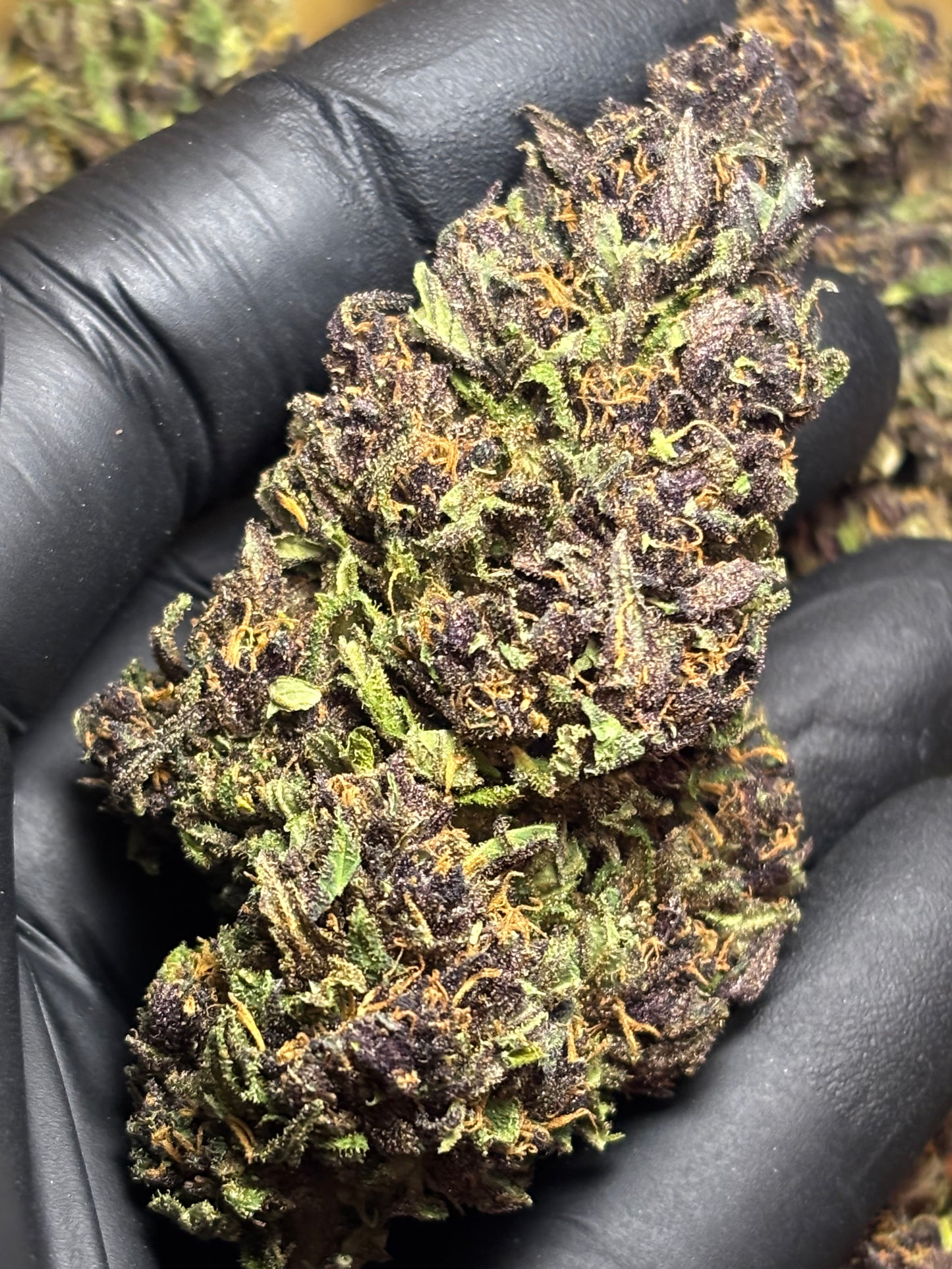 Blue Meringue 🧁🇫🇷