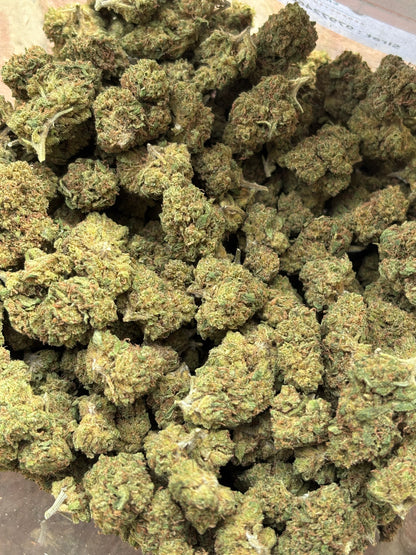 BLUEBERRY DIESEL 🫐 - GreenHouse 🇫🇷 - Medium Bud