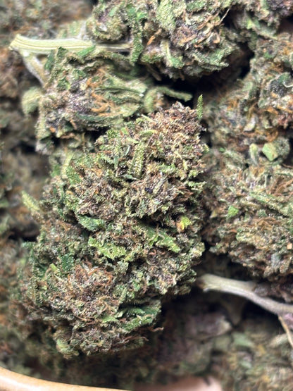 Orange Fritter 🍊🇫🇷