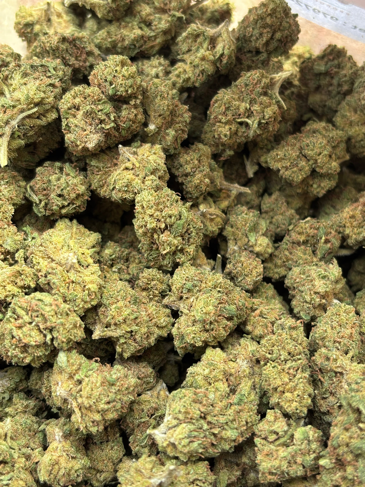 BLUEBERRY DIESEL 🫐 - GreenHouse 🇫🇷 - Medium Bud