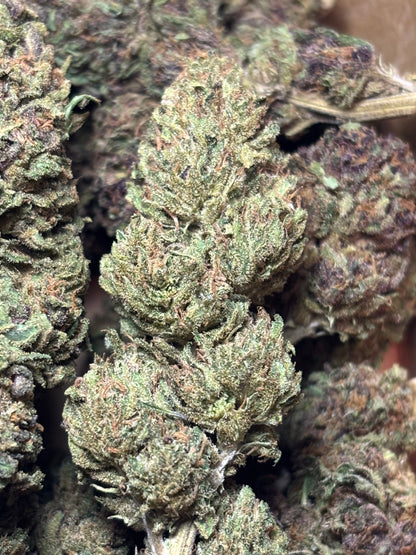 Skunk Jam 🍄🇫🇷