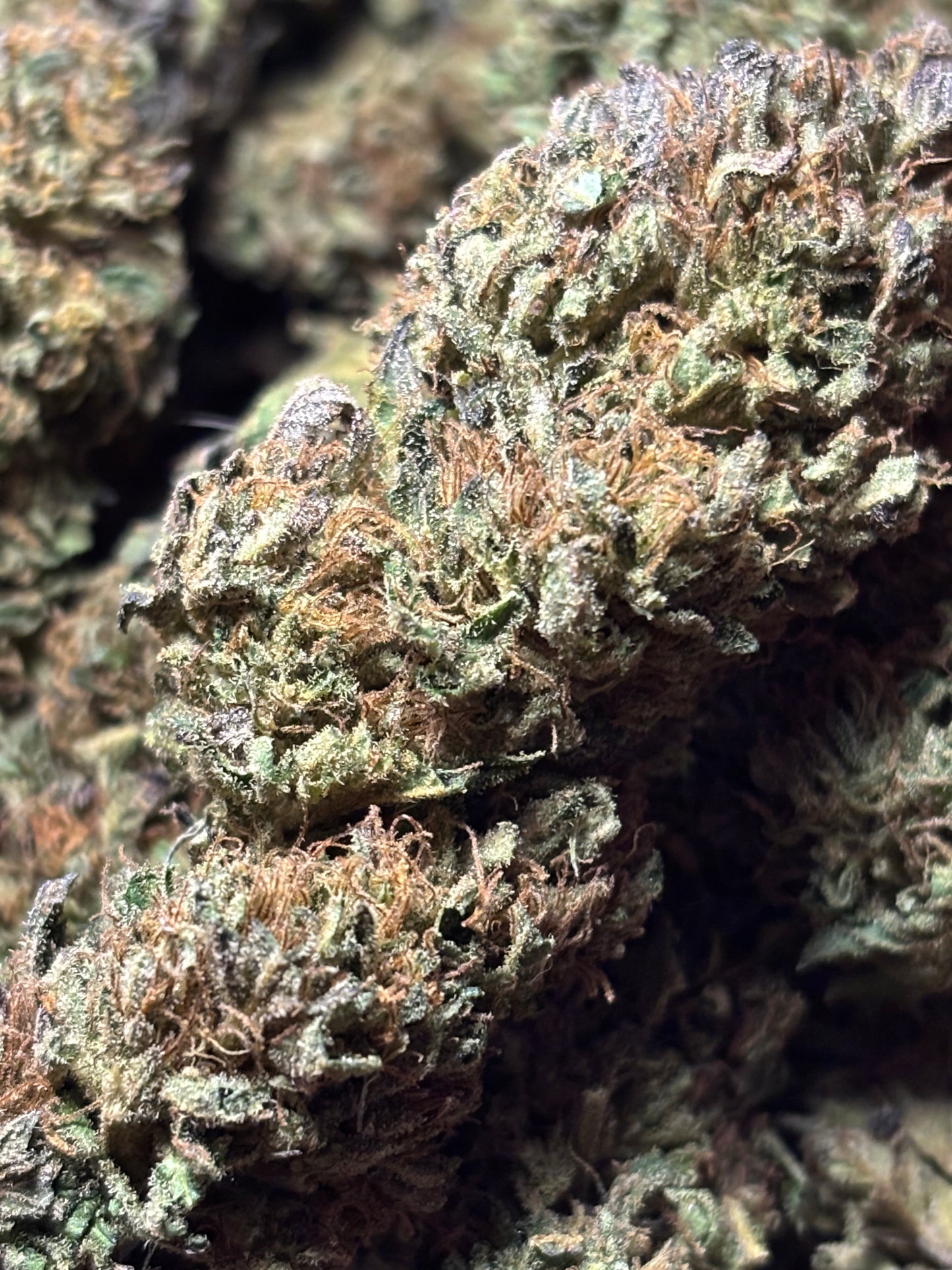 Lemon Flambée 🥧🇫🇷