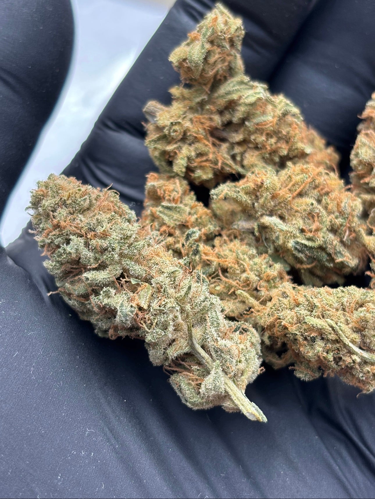 Pack Destock 19g 🎁