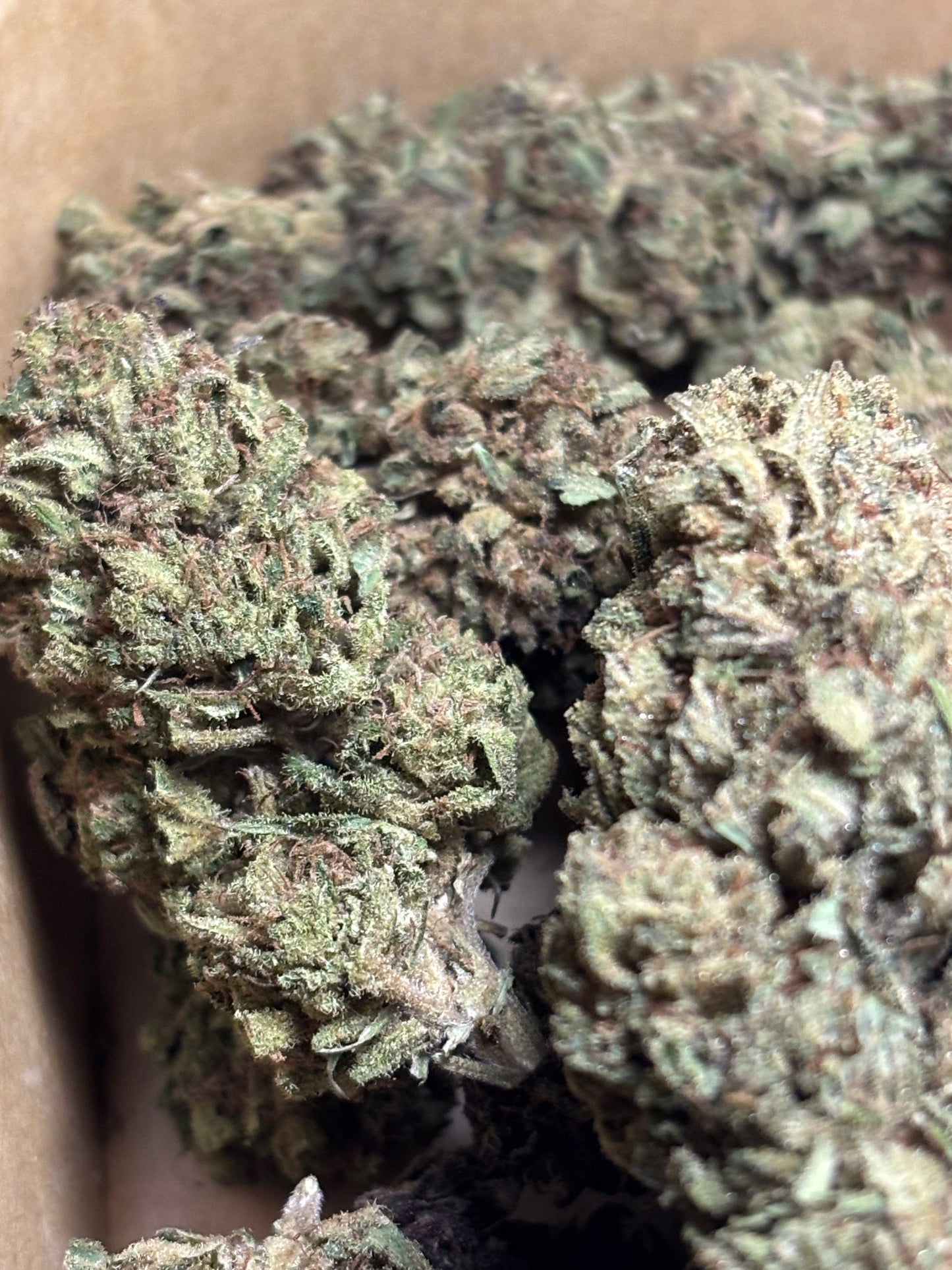 Strawberry Fritter 🍓🇫🇷