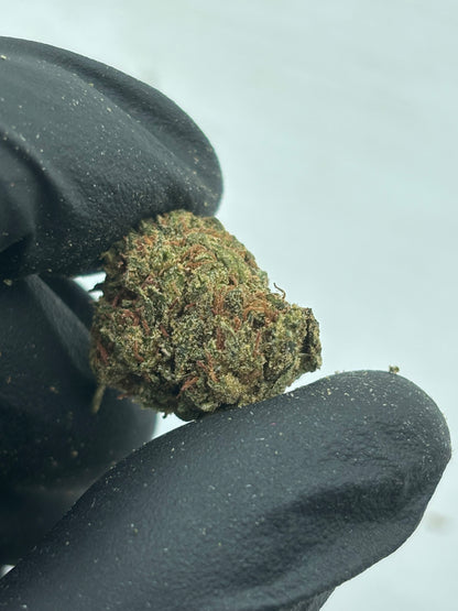 COSMIC COOKIE 🍪 - Small Buds