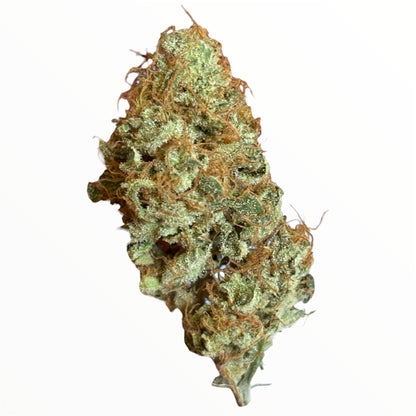 COOKIES KUSH 1 🍪 - Indoor 🇫🇷