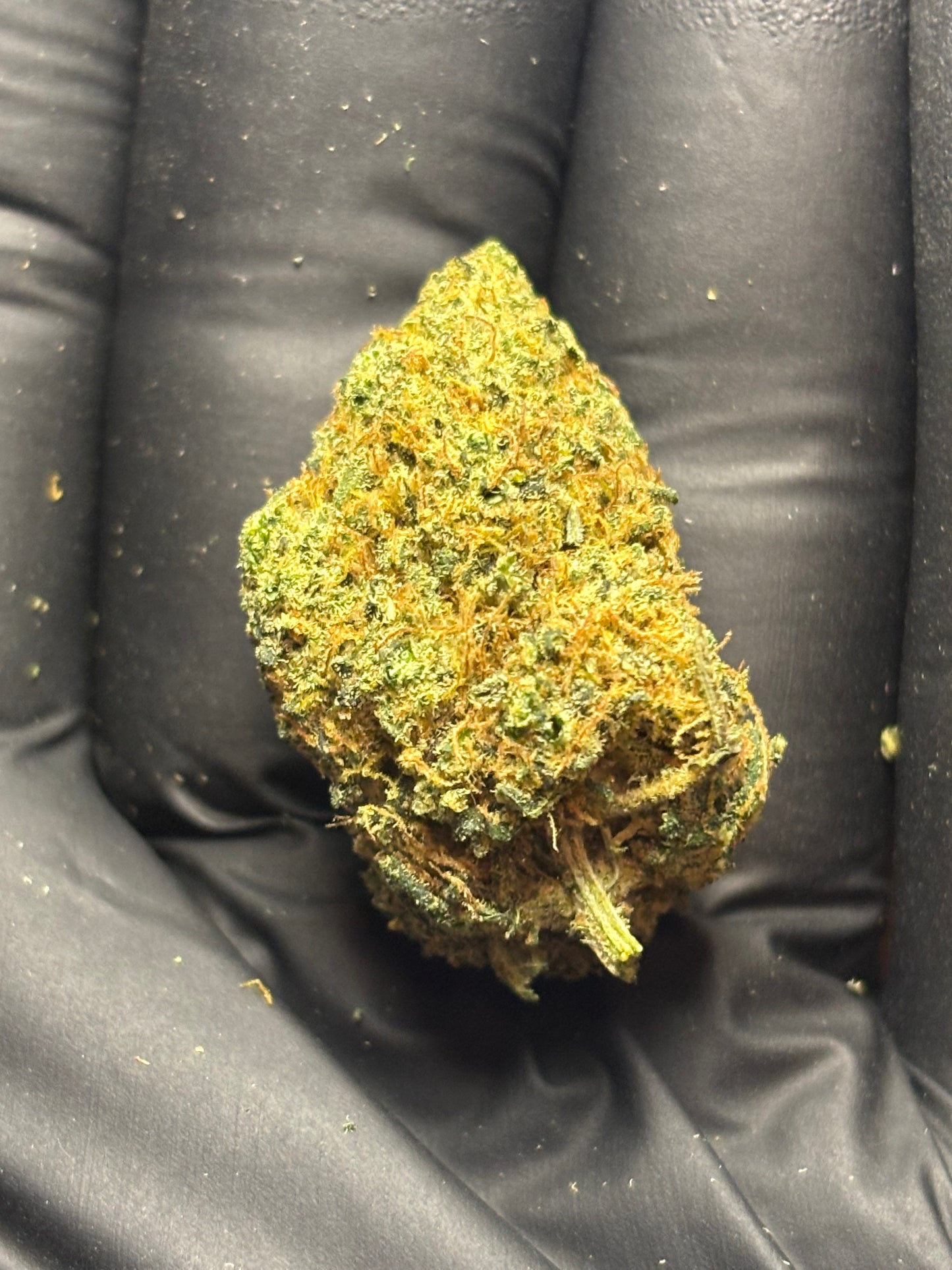 Sweet Diesel ⛽️ - Indoor by Cannaïa 🇫🇷