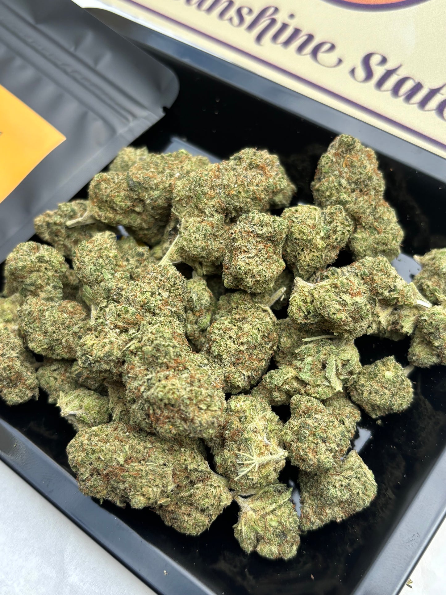 BUBBLEGUM 🍭