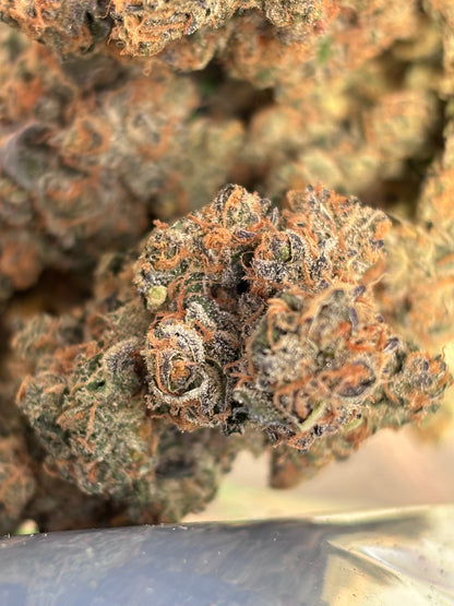BLACK BERZERKER - Indoor Hydro By Original Growing 🇫🇷