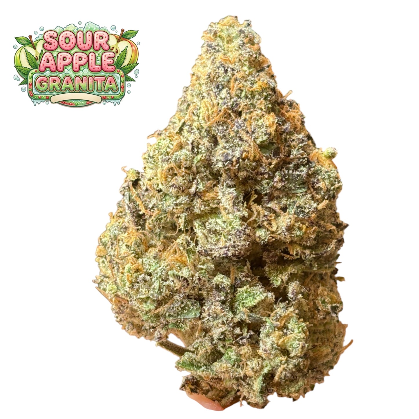 SOUR APPLE GRANITA 🍏 - Indoor - By Original Growing 🇫🇷