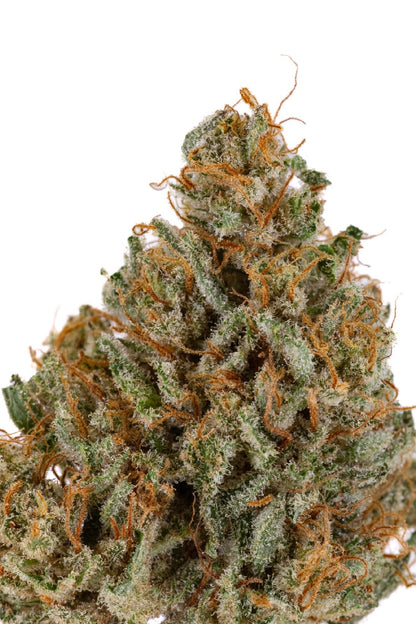 ALLIUM OG 🧅