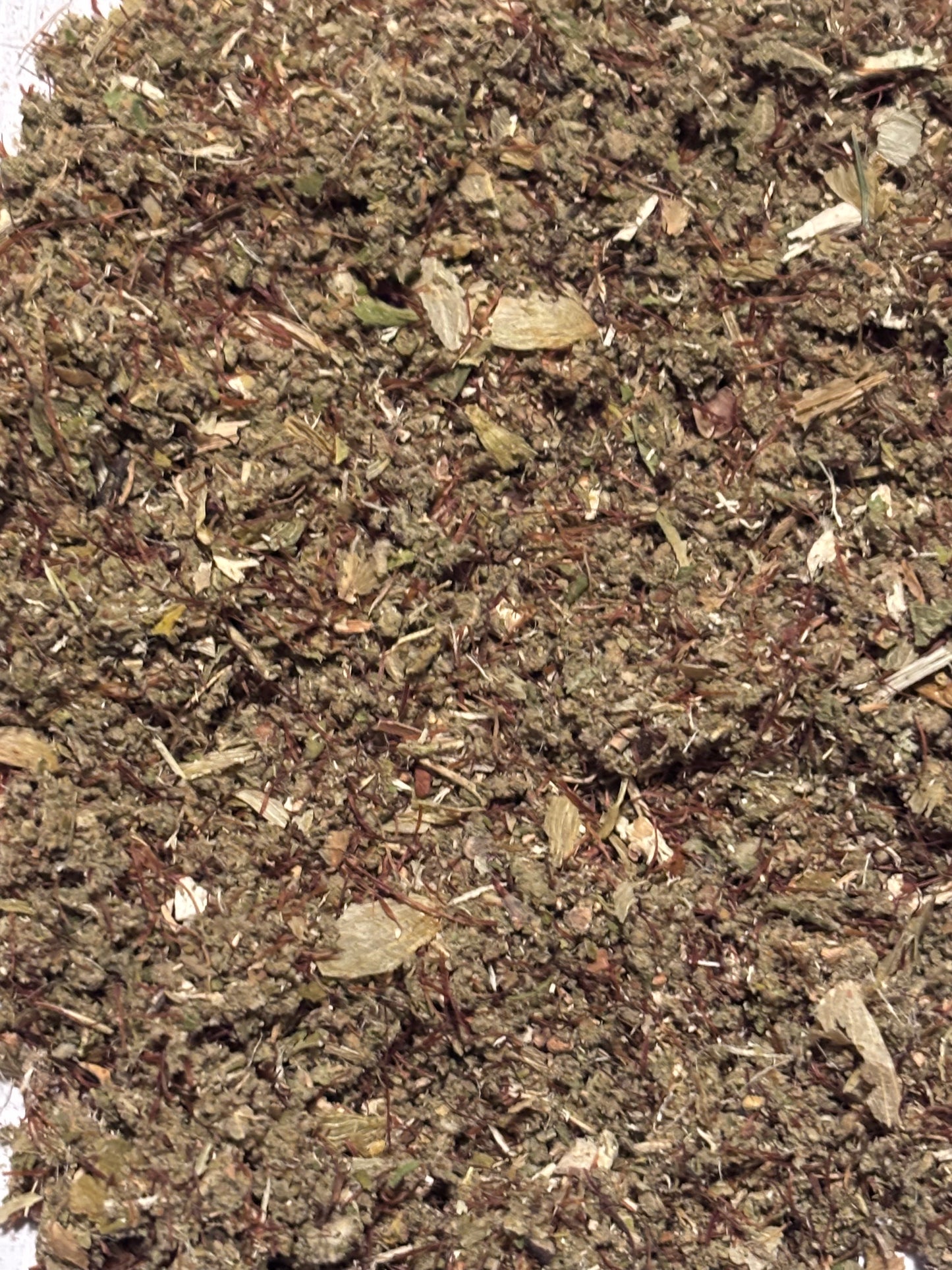 CLASSIC BLEND 🍁