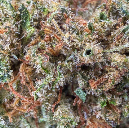 SKYWALKER OG 🪐 - Small Buds