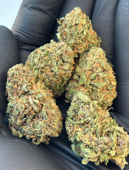 Pack Destock 19g 🎁